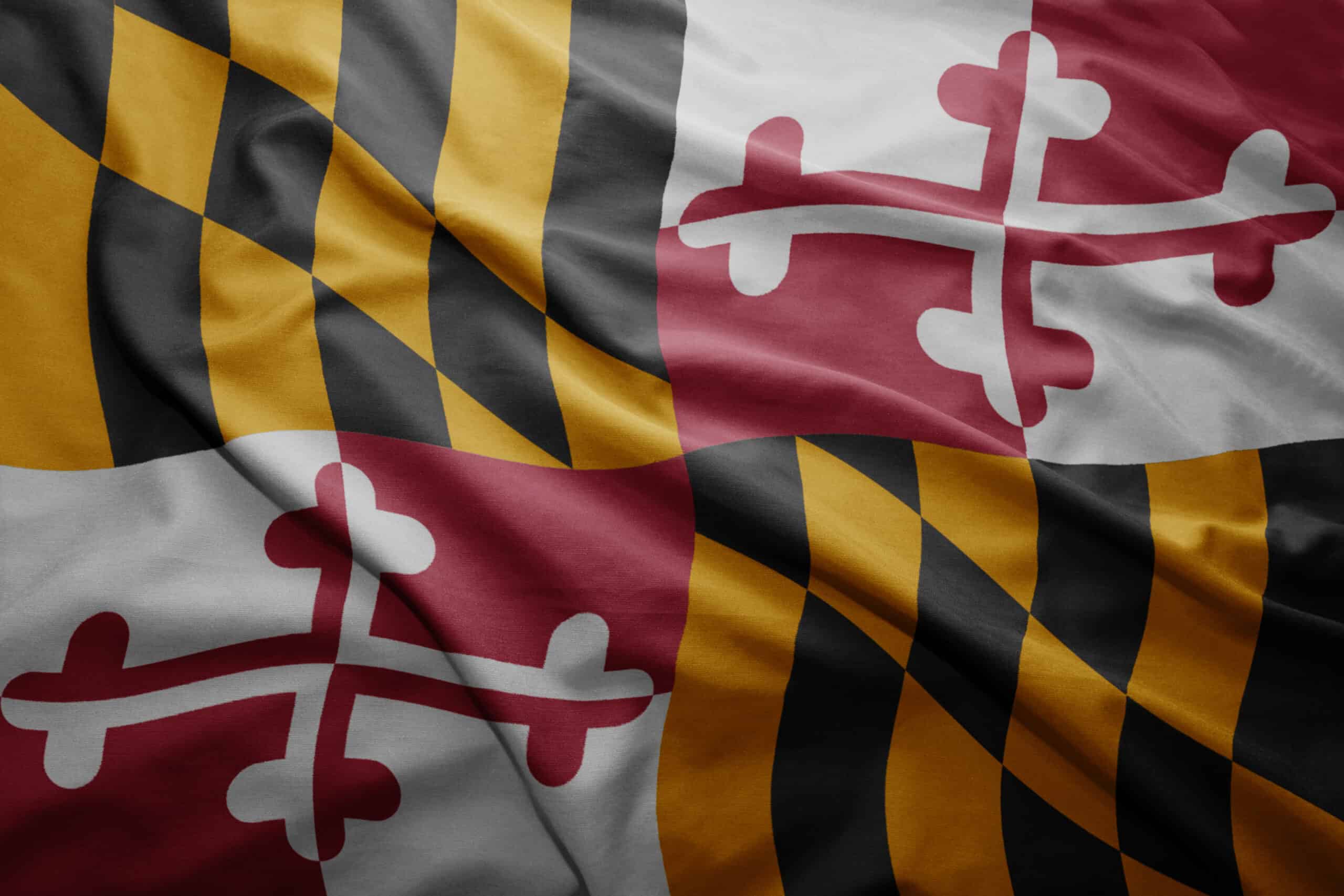 Maryland state flag waving in folds of fabric