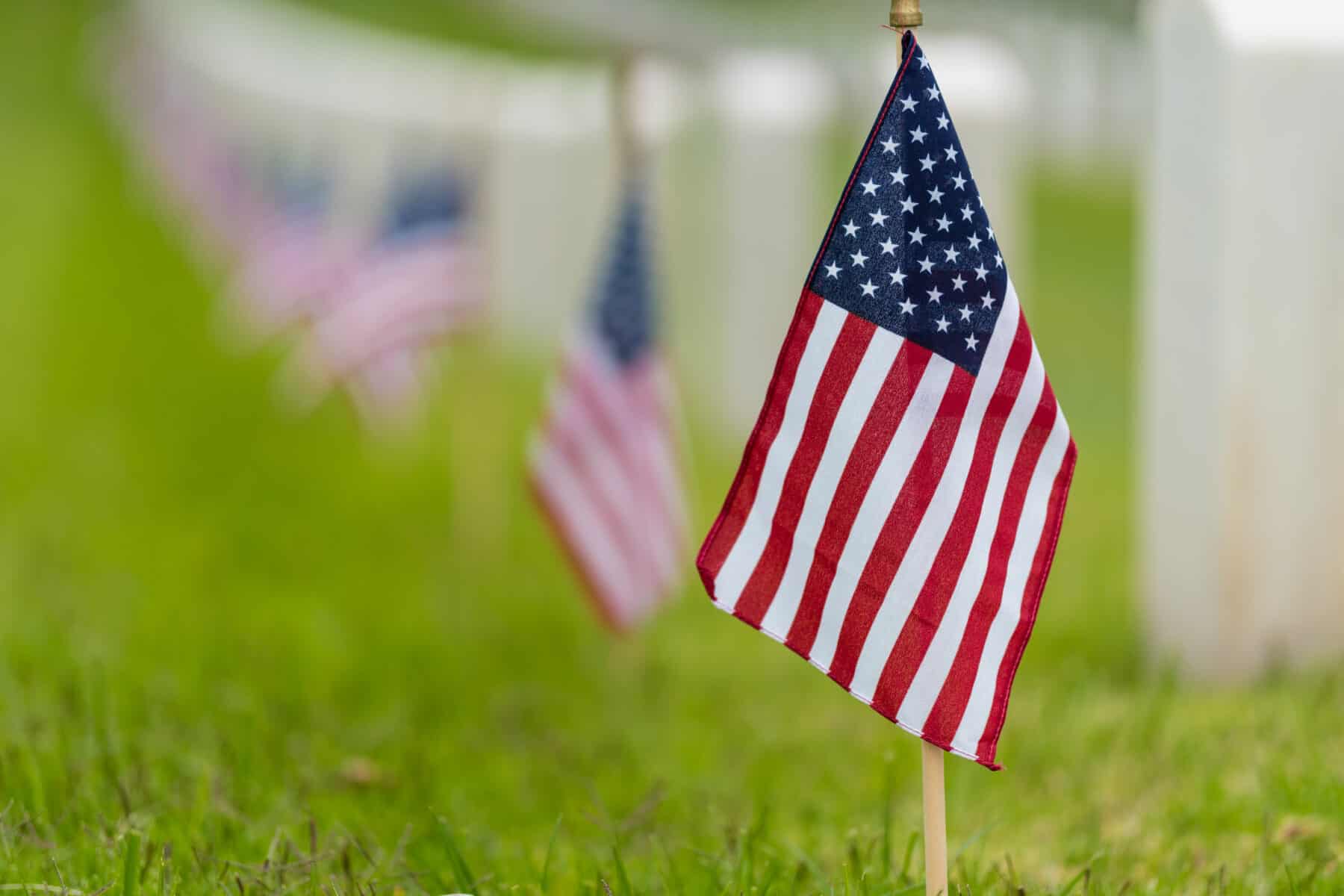 Small American flags planted in the grass at a cemetery.