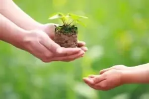 An adult's cupped hands pass a seedling growing in soil to a child's outstretched hands against a green background.